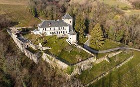 Chateau D'Apremont