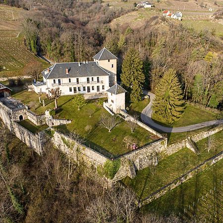 Chateau D'Apremont Apremont  Exterior foto